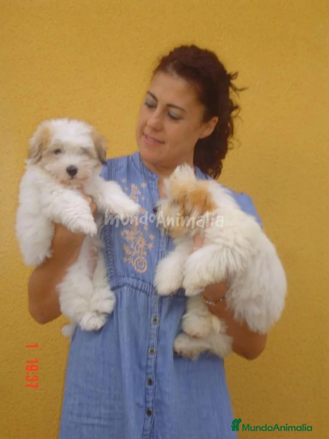 Imagen de galería {{count}}
