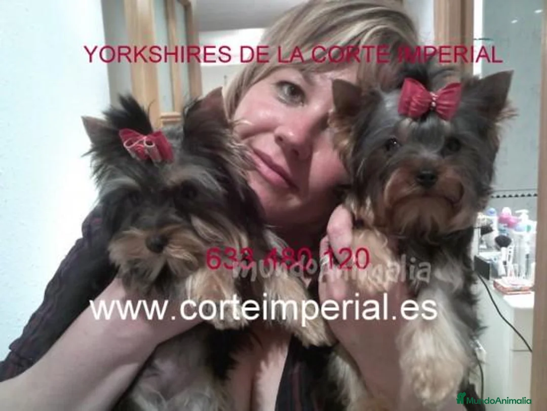 Imagen de galería {{count}}