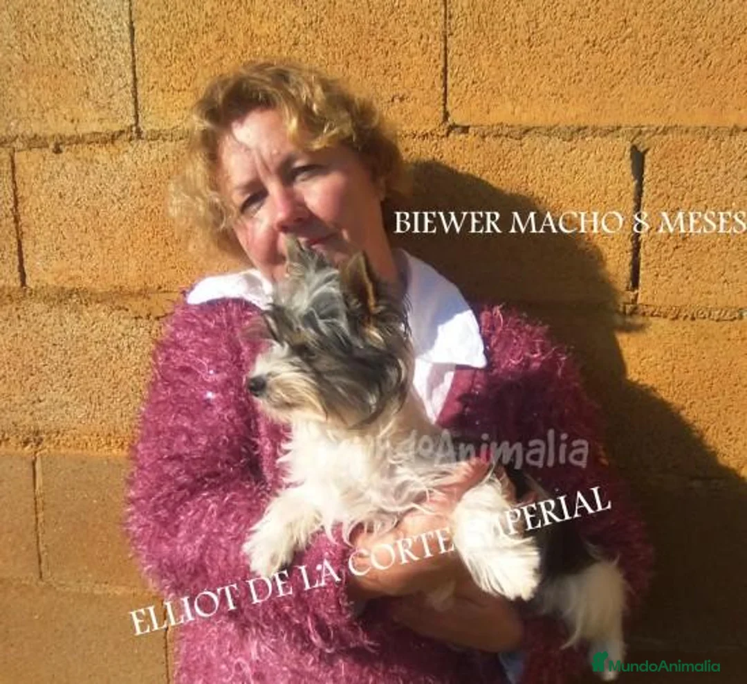 Imagen de galería {{count}}