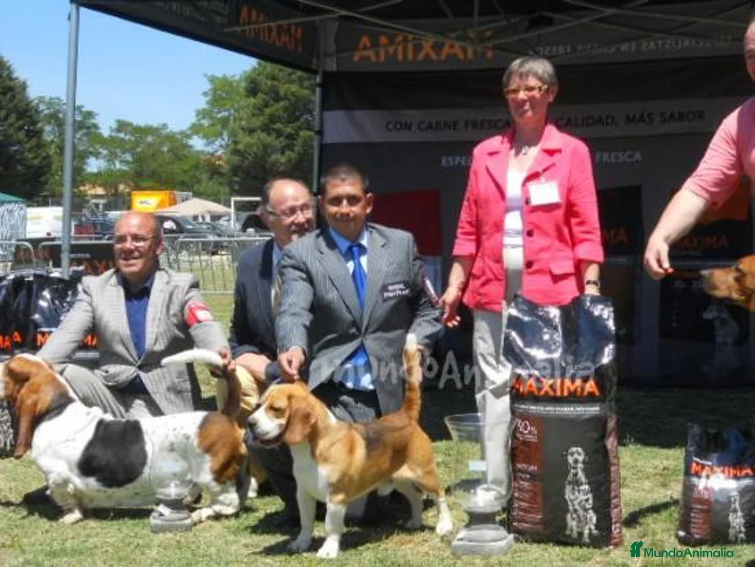 Imagen de galería {{count}}