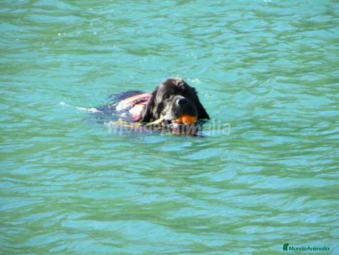 Imagen de galería {{count}}