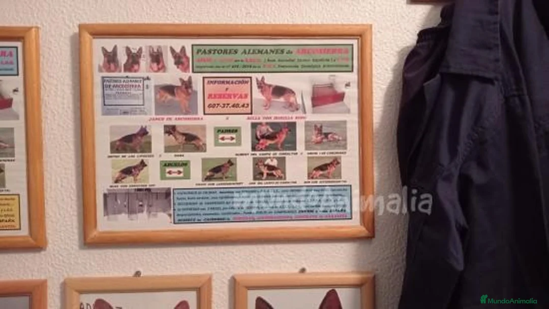 Imagen de galería {{count}}