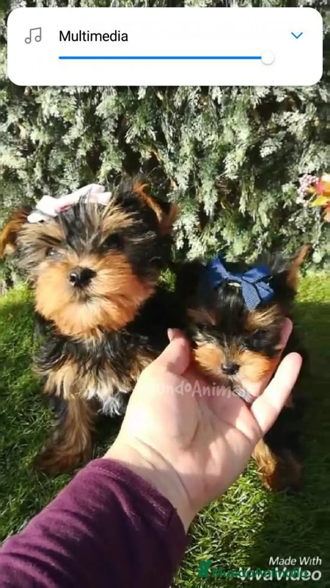 Imagen de galería {{count}}