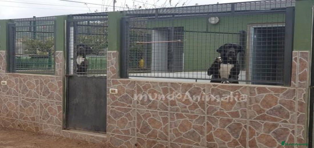 Imagen de galería {{count}}