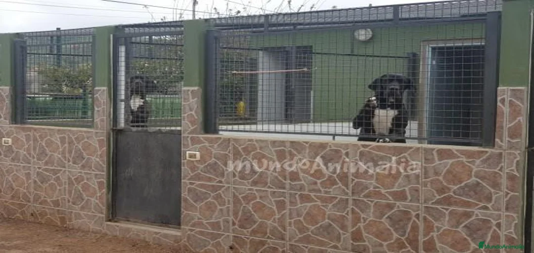 Imagen de galería {{count}}