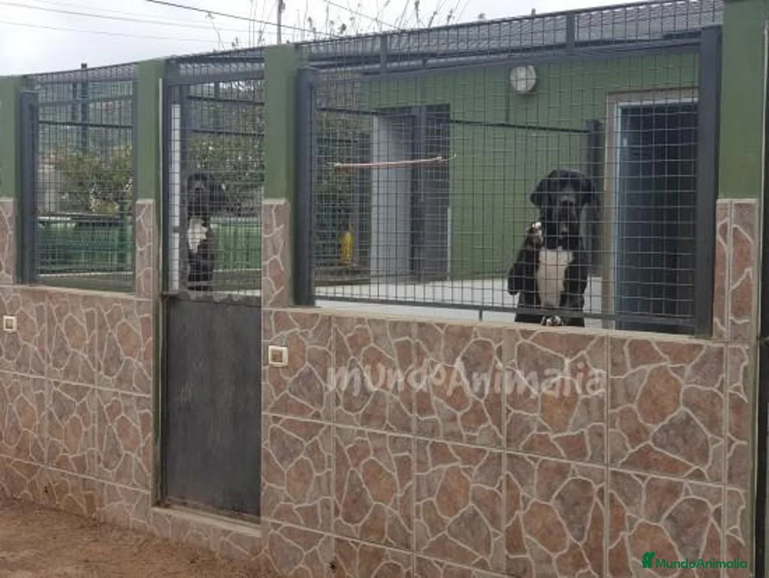 Imagen de galería {{count}}