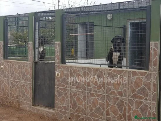 Imagen de galería {{count}}