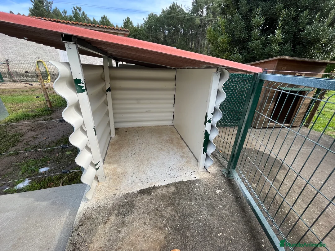 Imagen de galería {{count}}