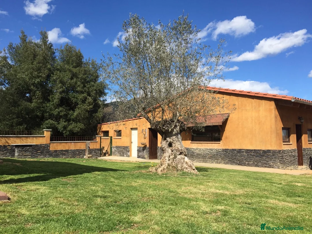 Imagen de galería {{count}}