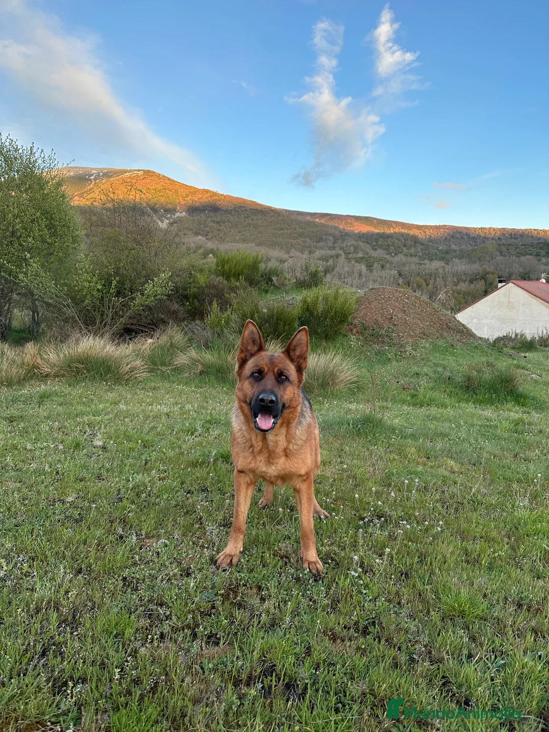 Imagen de galería {{count}}