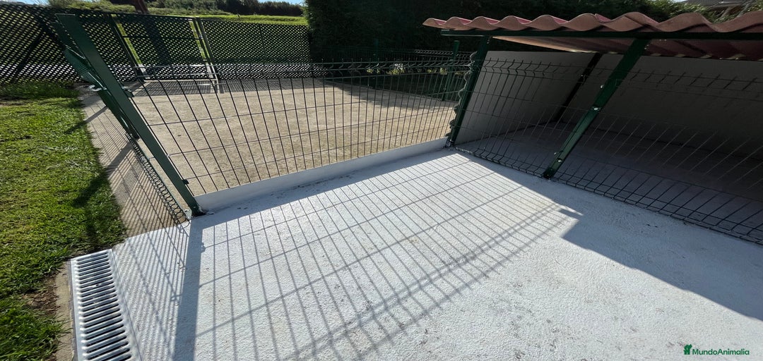 Imagen de galería {{count}}