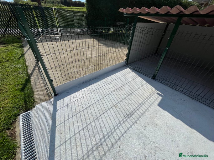 Imagen de galería {{count}}