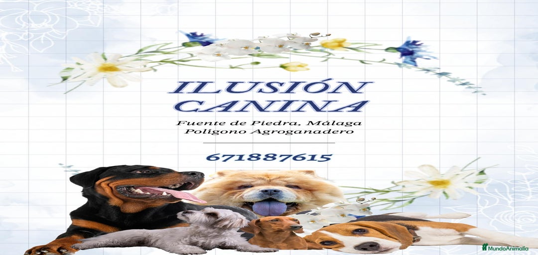 Imagen de galería {{count}}