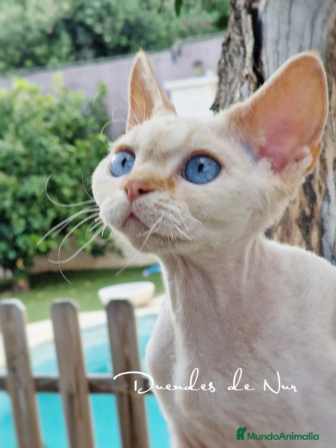 Imagen de galería {{count}}