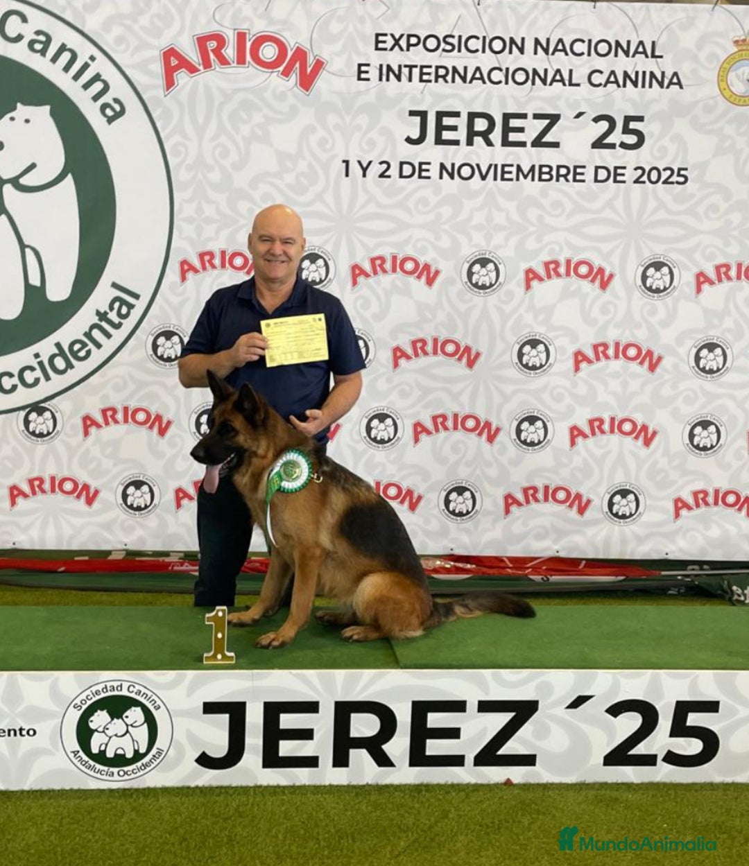 Pastor Alemán perros en venta: Tuna De Los Malvares - Anuncio 2