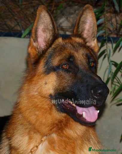 Imagen de galería {{count}}