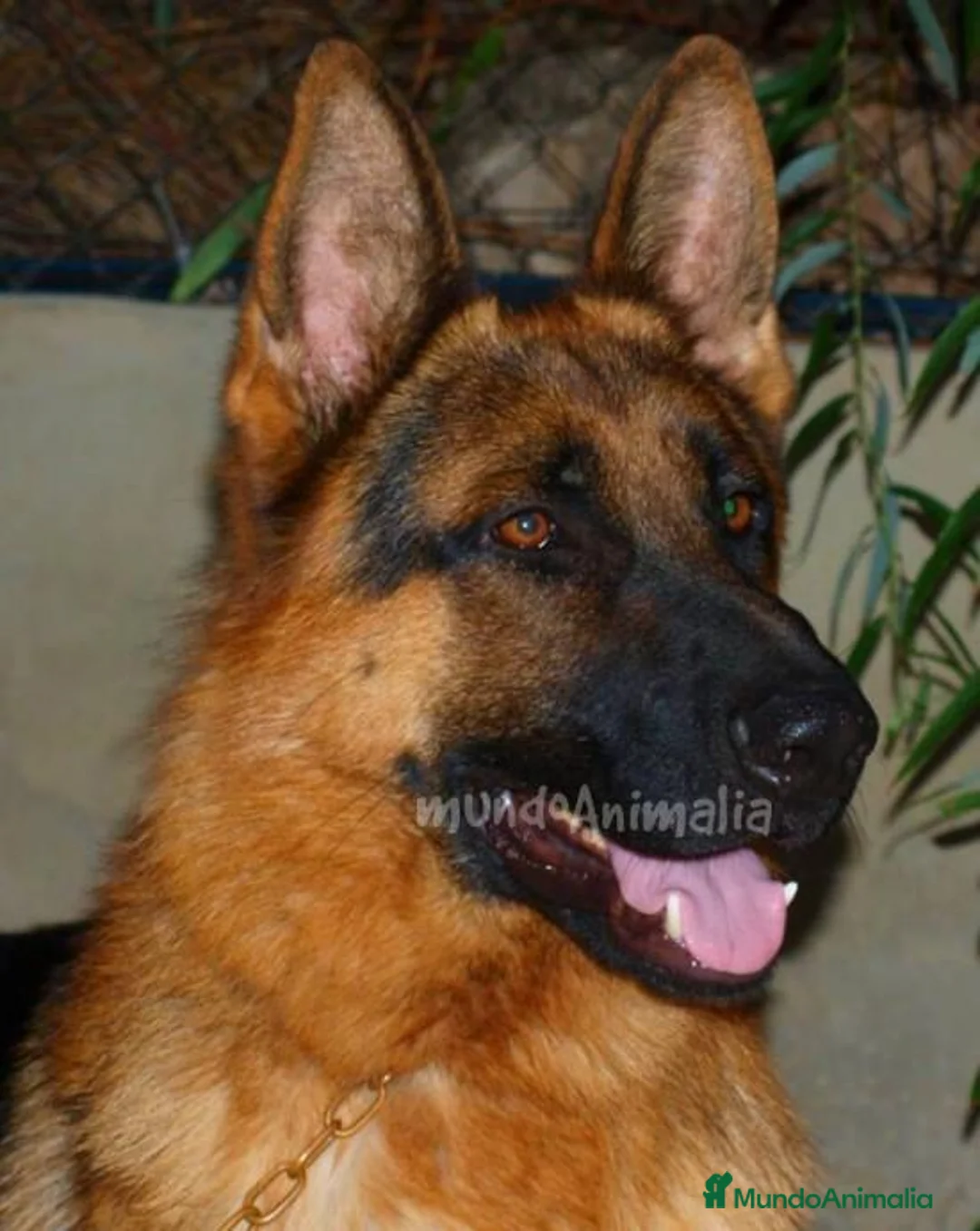 Imagen de galería {{count}}