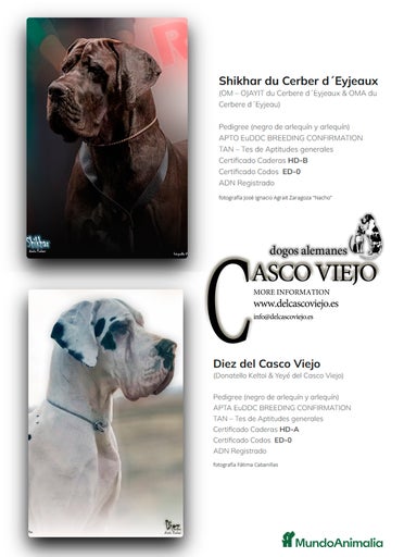 Imagen de galería {{count}}