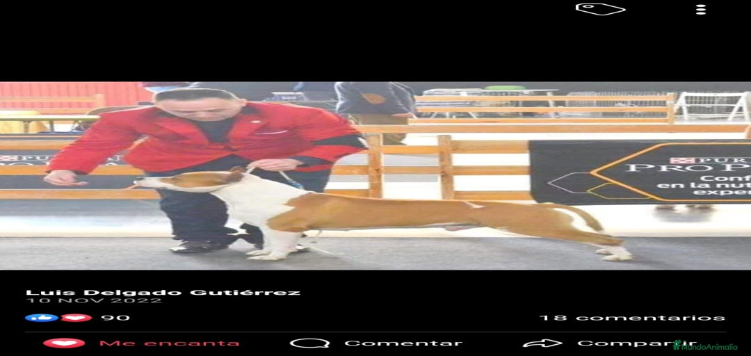 Imagen de galería {{count}}