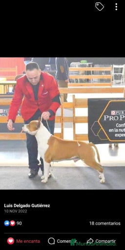 Imagen de galería {{count}}