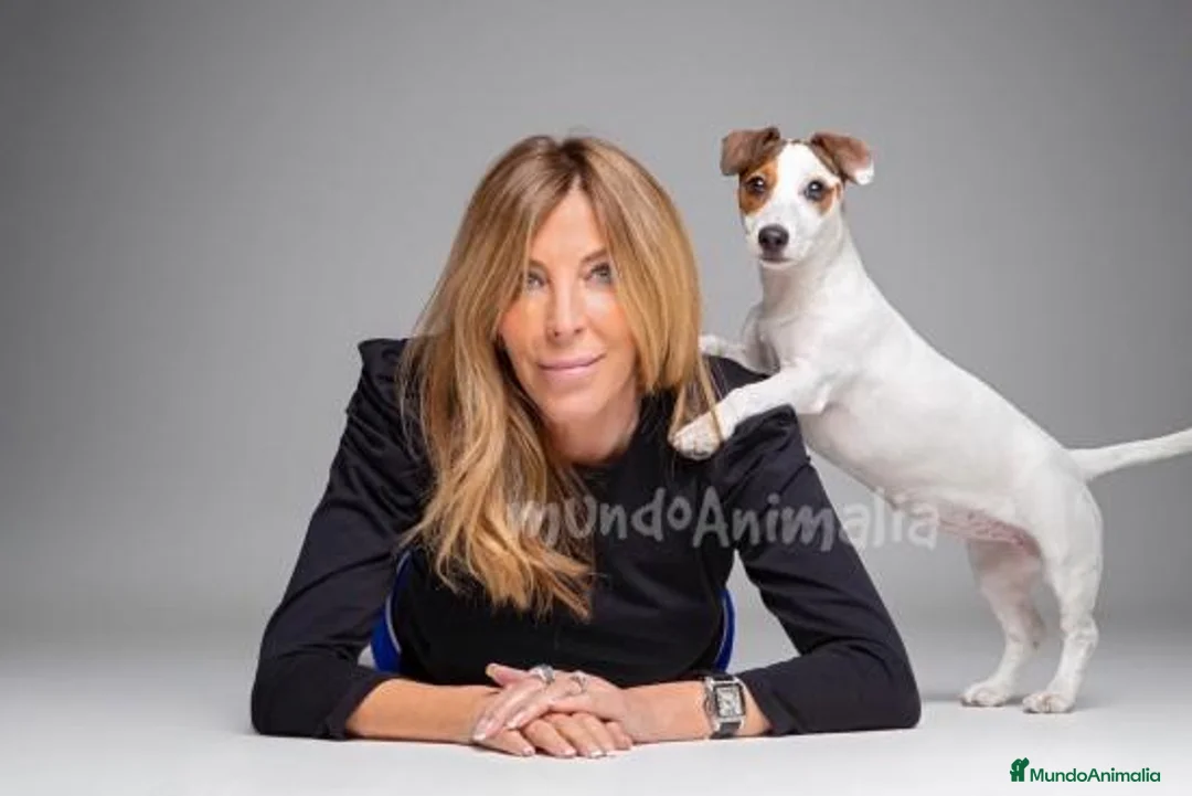 Imagen de galería {{count}}