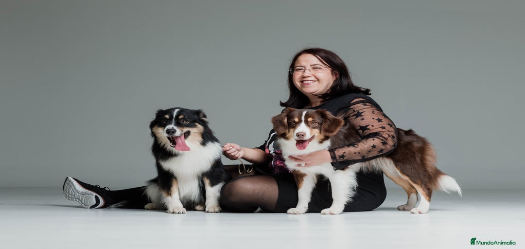 Imagen de galería {{count}}