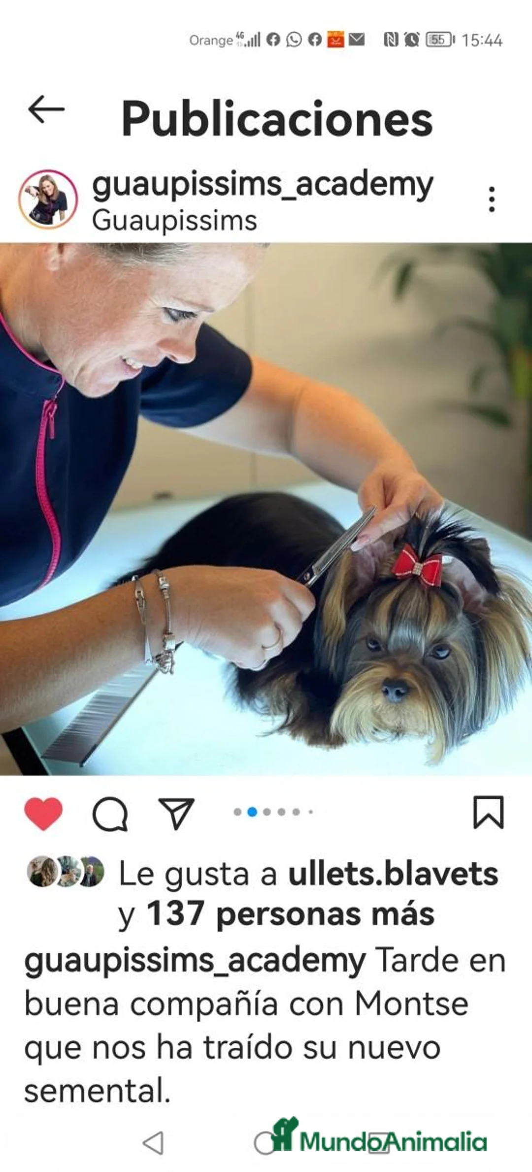 Imagen de galería {{count}}