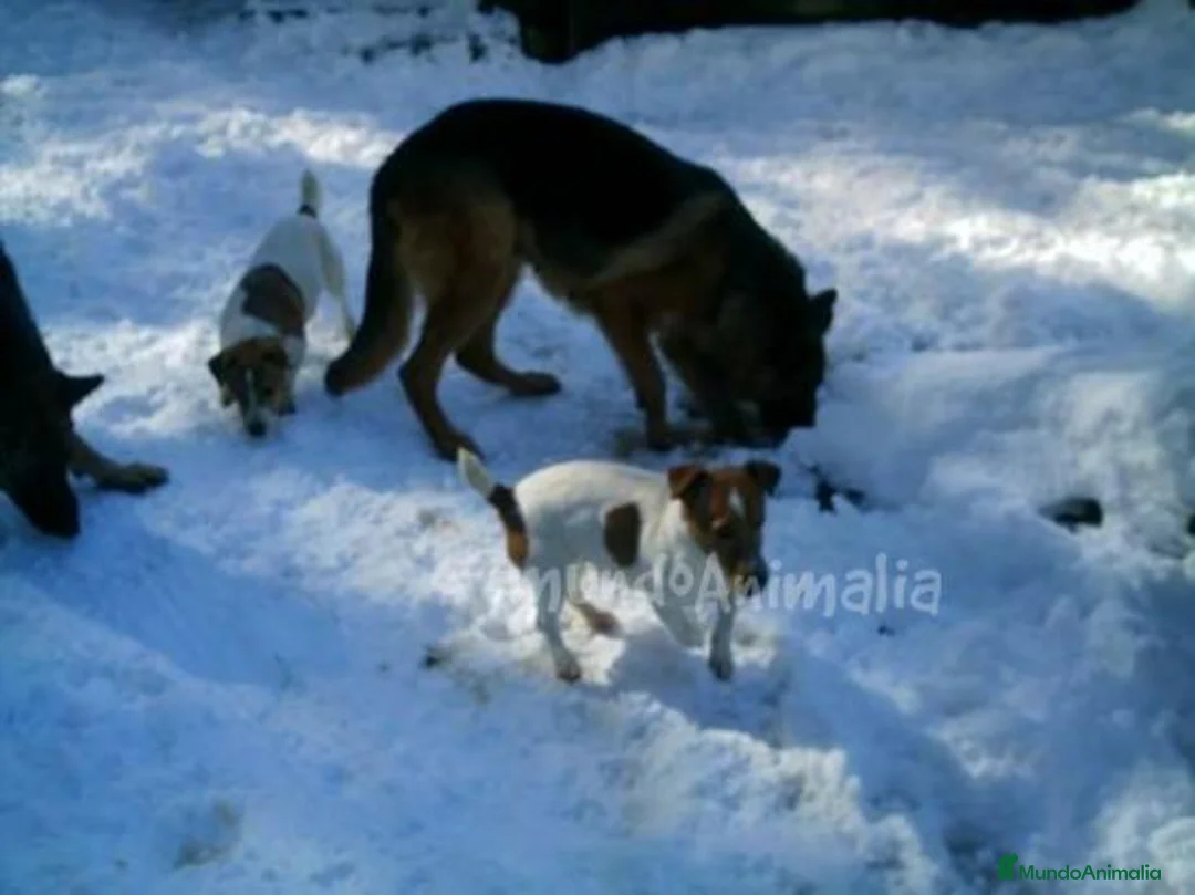 Imagen de galería {{count}}