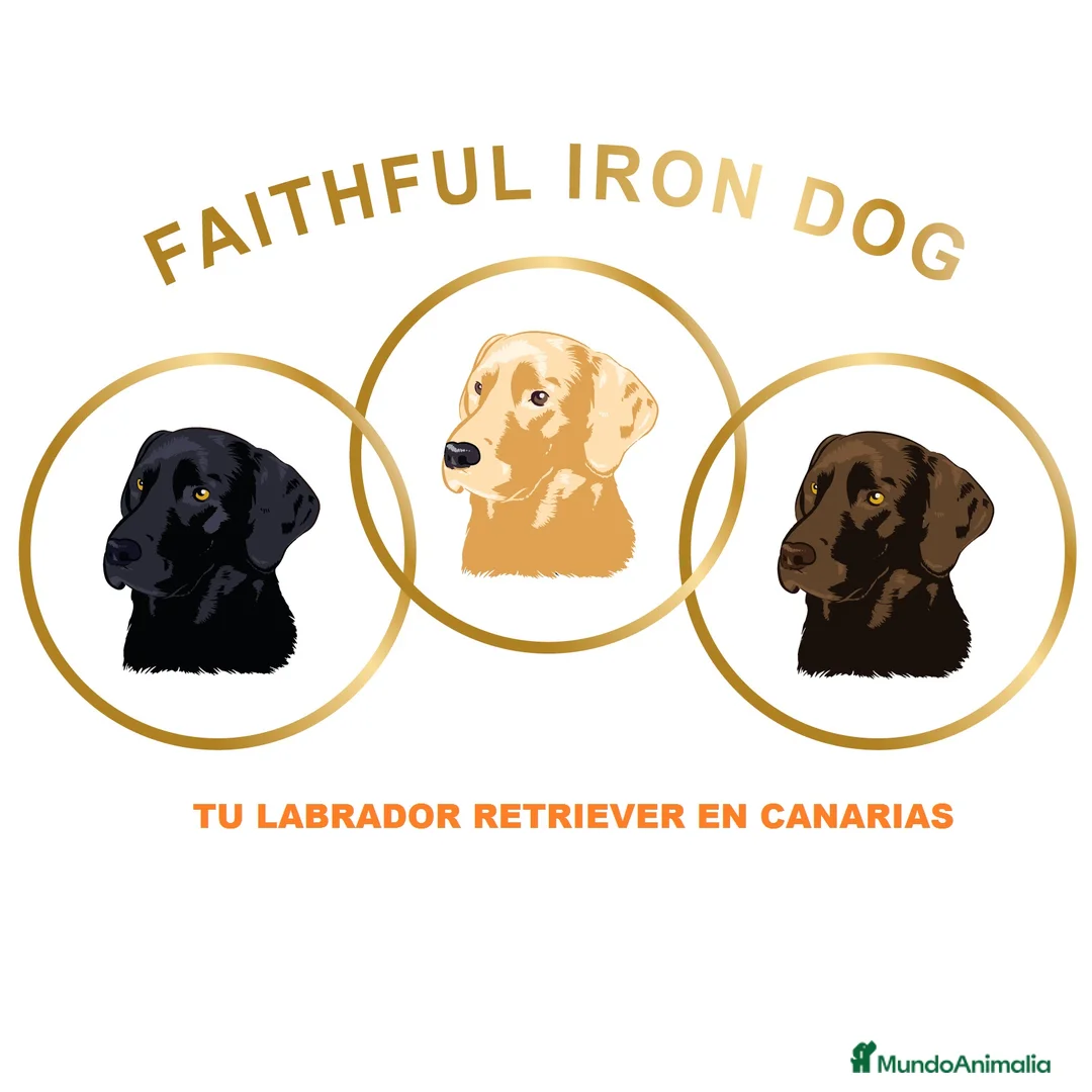 Imagen de galería {{count}}