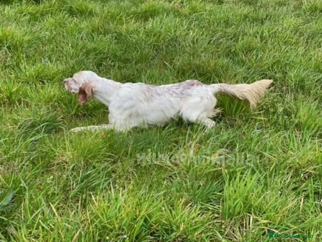 Imagen de galería {{count}}