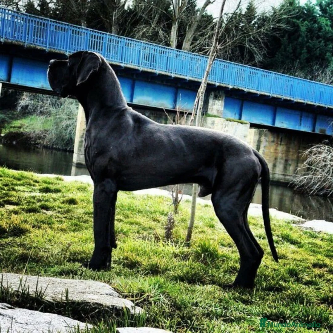 Imagen de galería {{count}}