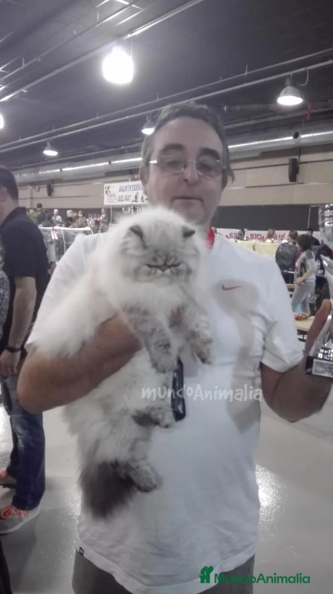 Imagen de galería {{count}}