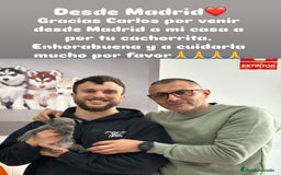 American Staffordshire-Terrier perros en venta: American Stanford, mis pequeños - Imagen 17