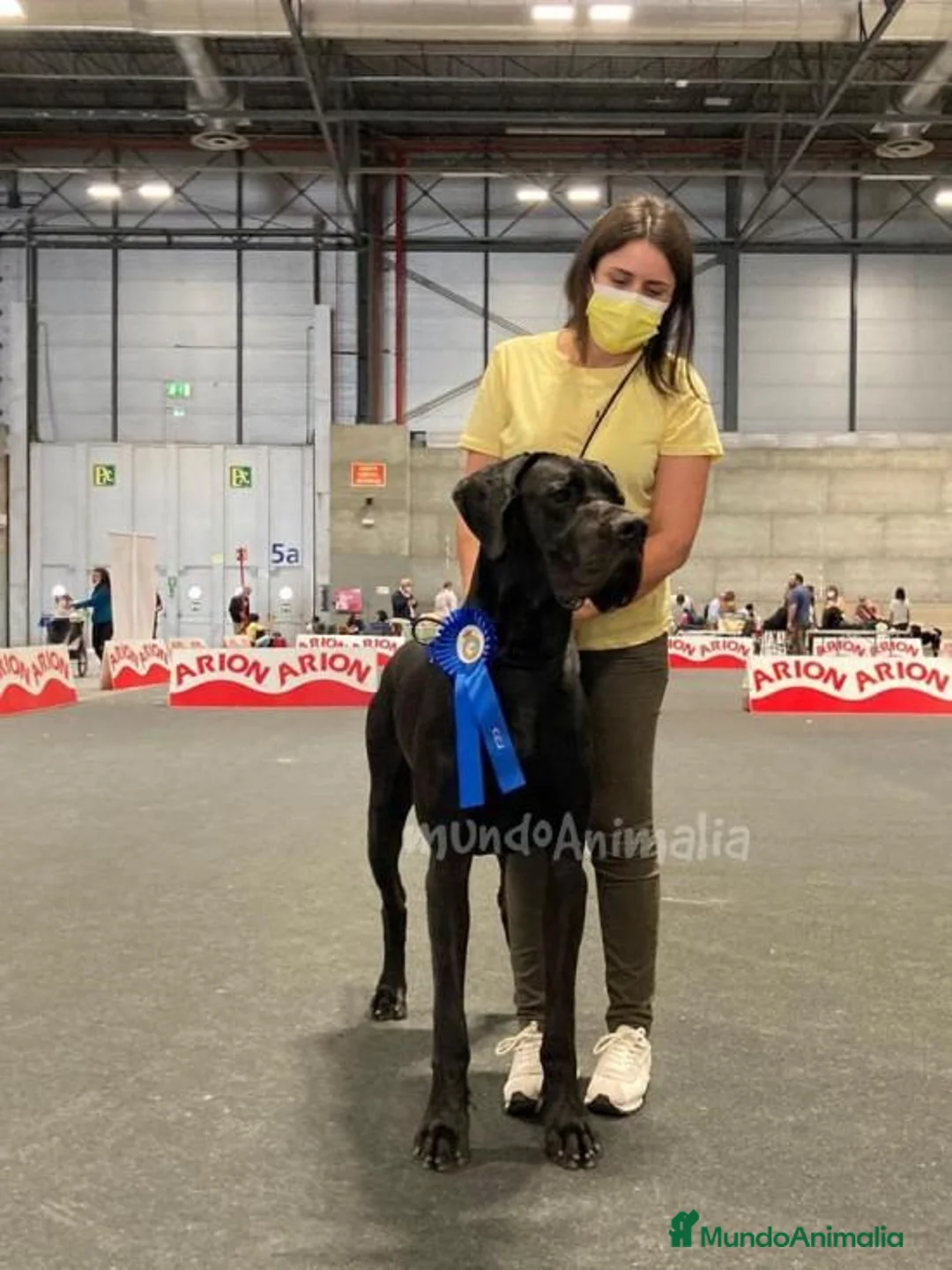 Imagen de galería {{count}}