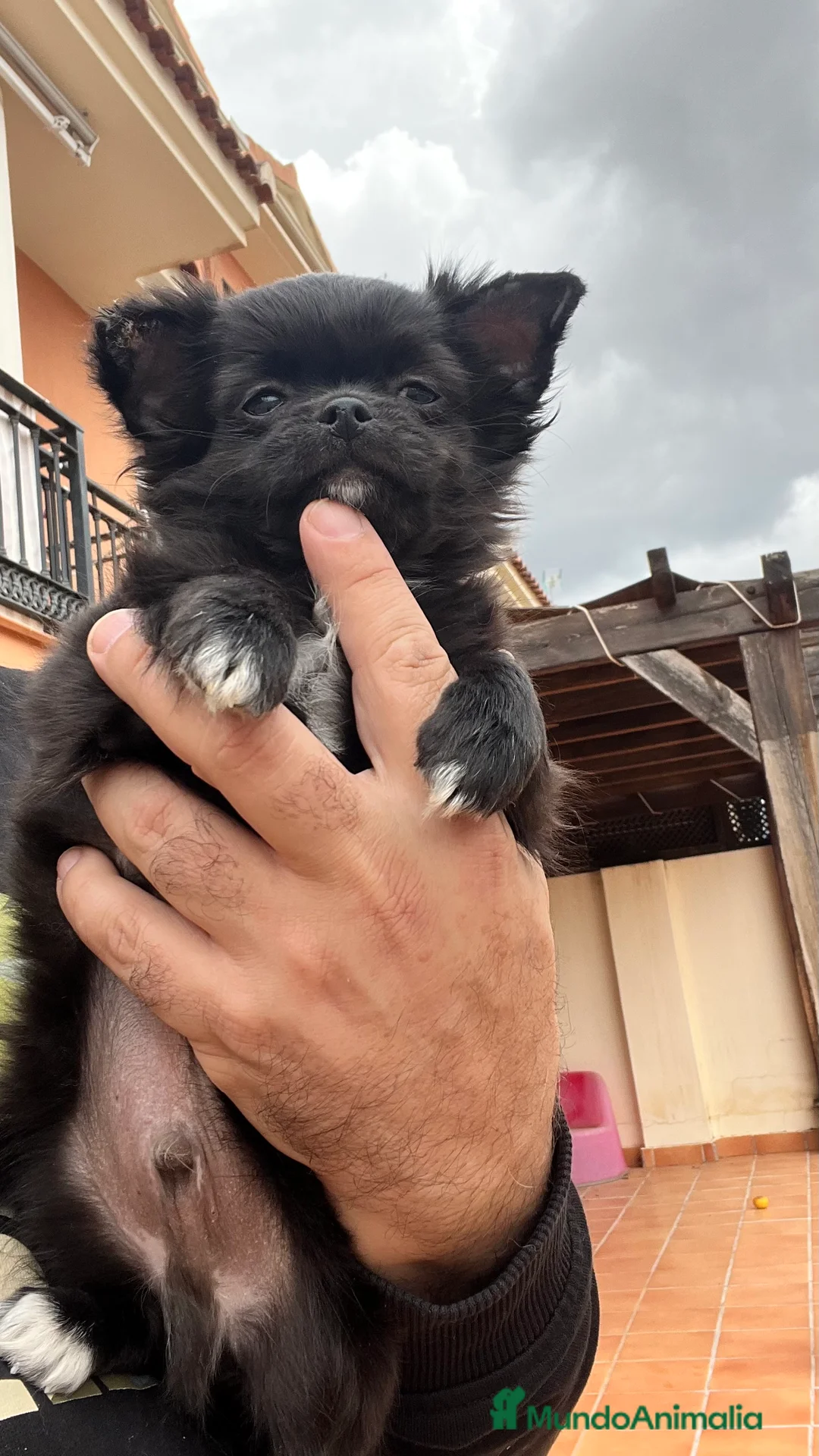 Imagen de galería {{count}}