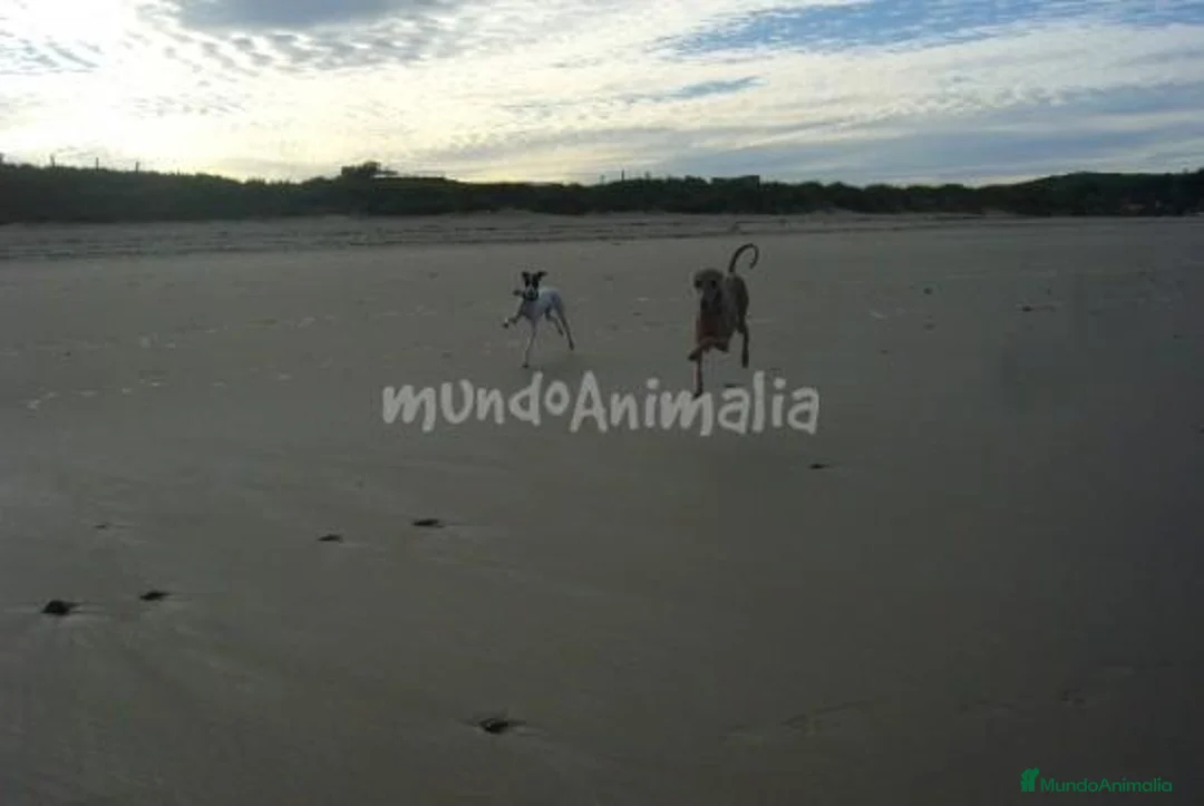 Imagen de galería {{count}}