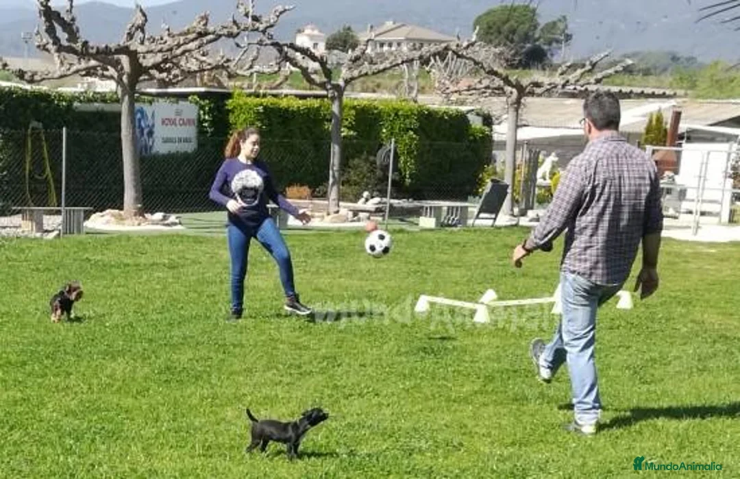 Imagen de galería {{count}}