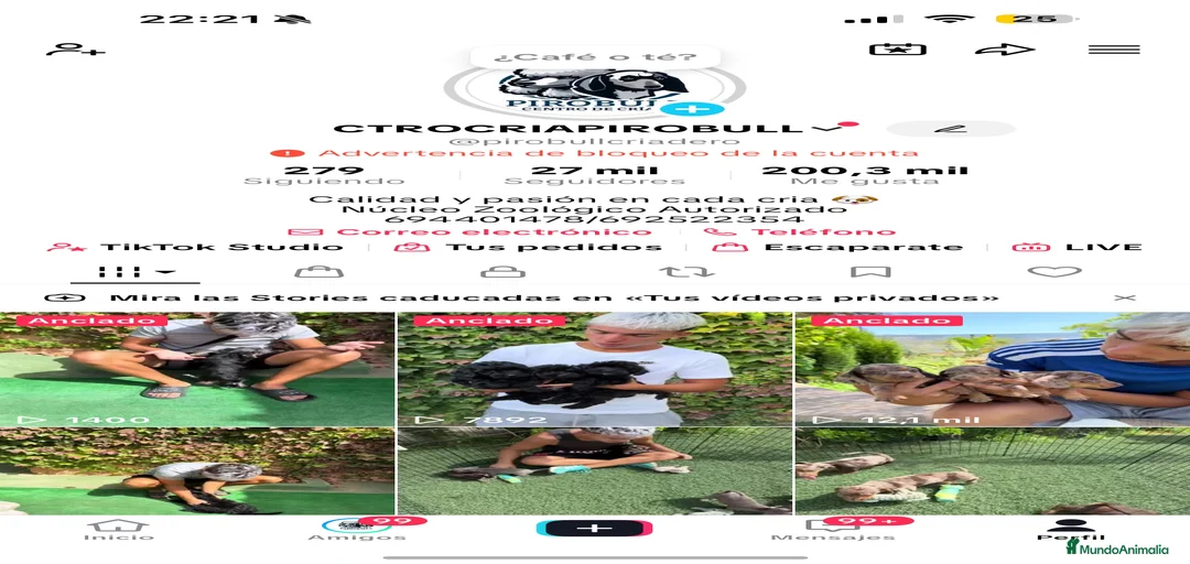 Imagen de galería {{count}}