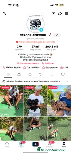 Imagen de galería {{count}}