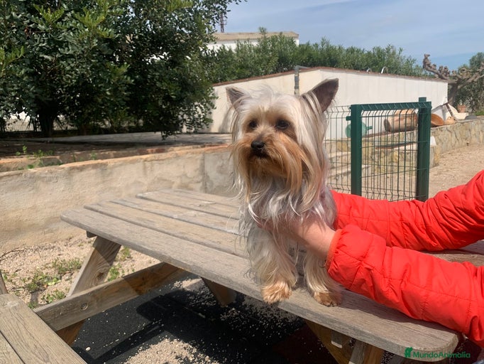 Imagen de galería {{count}}