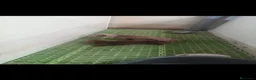 Teckel Miniatura perros en venta: Teckels Color Jabalí Hembras - Anuncio 6
