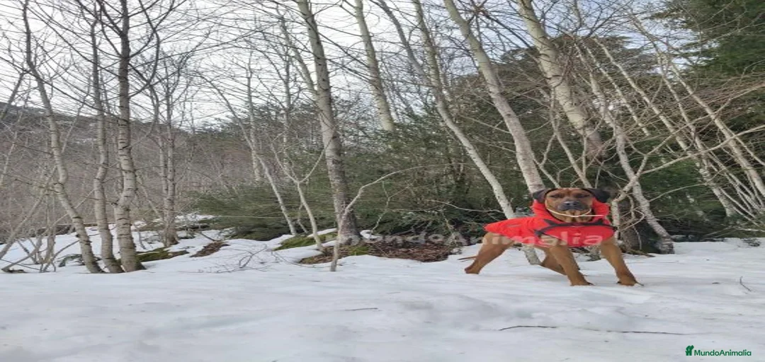 Imagen de galería {{count}}