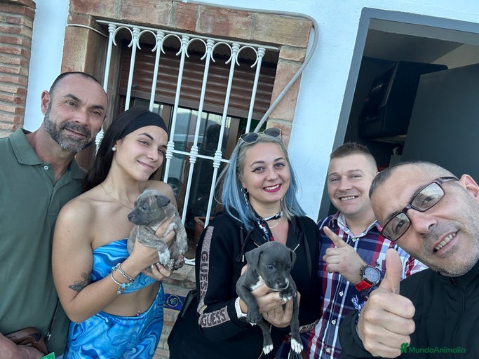 Imagen de galería {{count}}