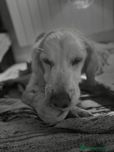 Imagen de galería {{count}}