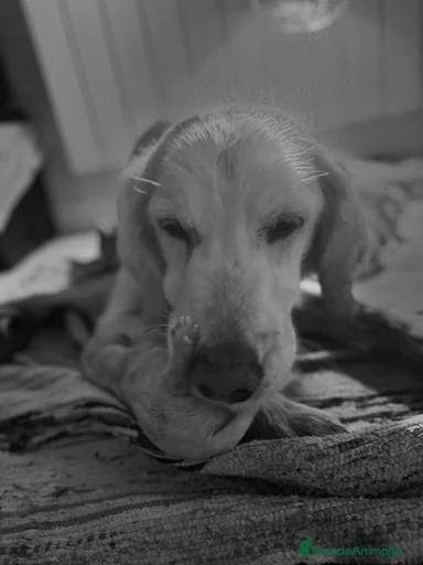 Imagen de galería {{count}}