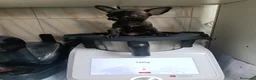 Chihuahua perros en venta: Cachorros chihuahua  - Anuncio 4