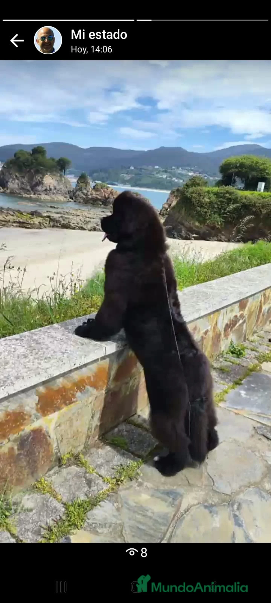 Imagen de galería {{count}}