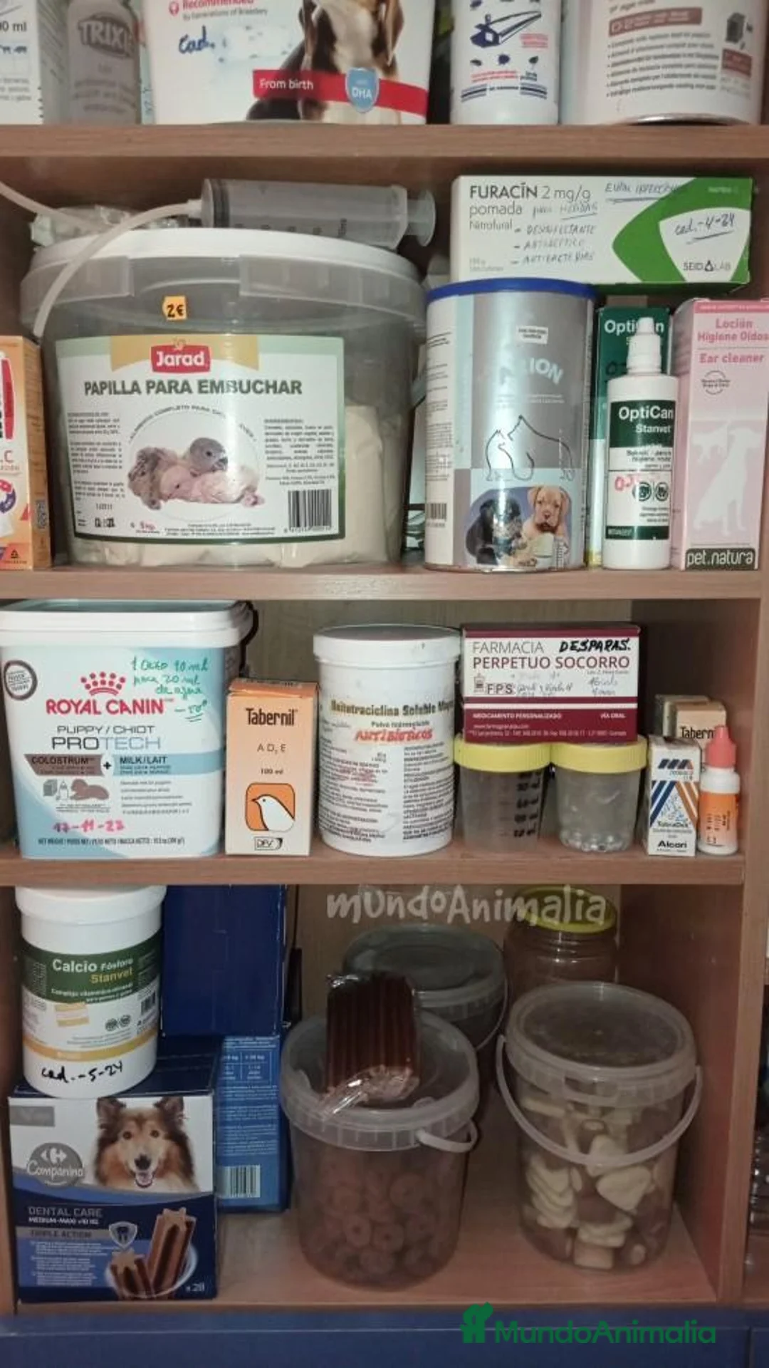 Imagen de galería {{count}}