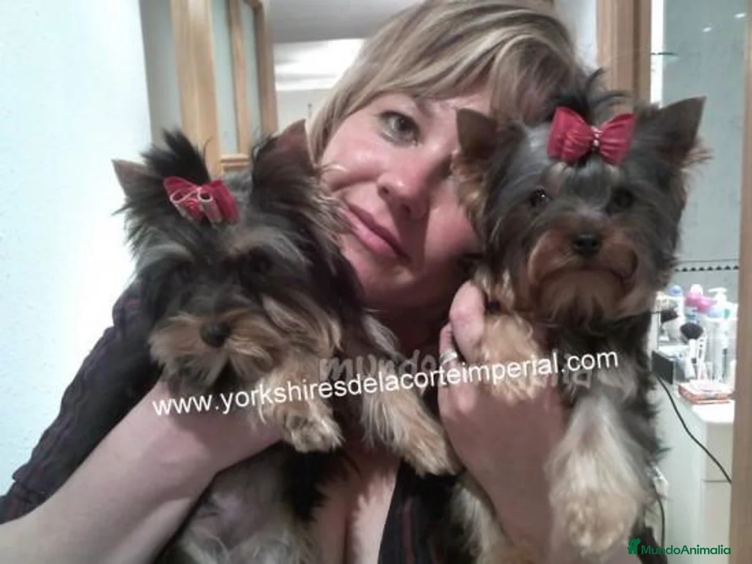 Imagen de galería {{count}}