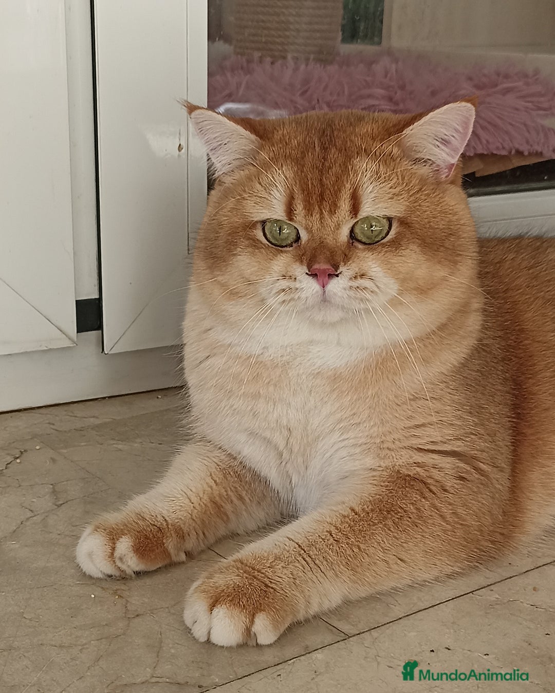 Imagen de galería {{count}}